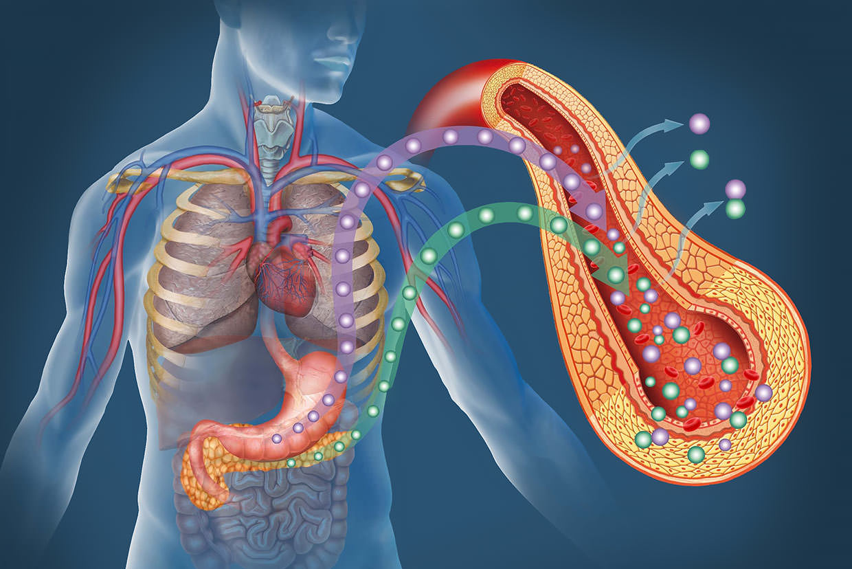 Type 2 Diabetes Injectable Medications : Types and Benefits