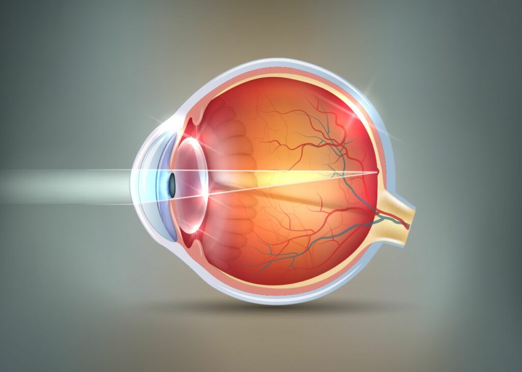Navigating the Path to Clear Vision: Understanding and Treating Retinopathy