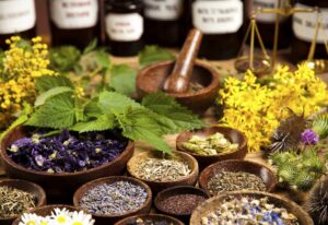 Exploring Homeopathic Medicine for Managing Type 2 Diabetes