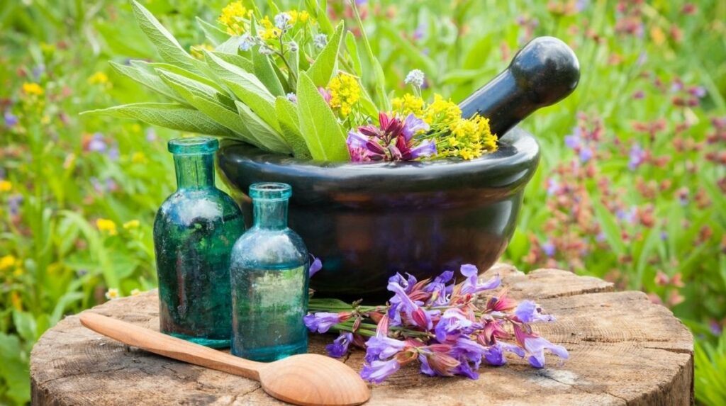 Harnessing Nature's Bounty: Herbal Remedies for Diabetes