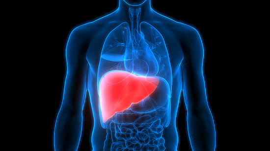 Managing Fatty Liver in Type 2 Diabetes: A Comprehensive Guide