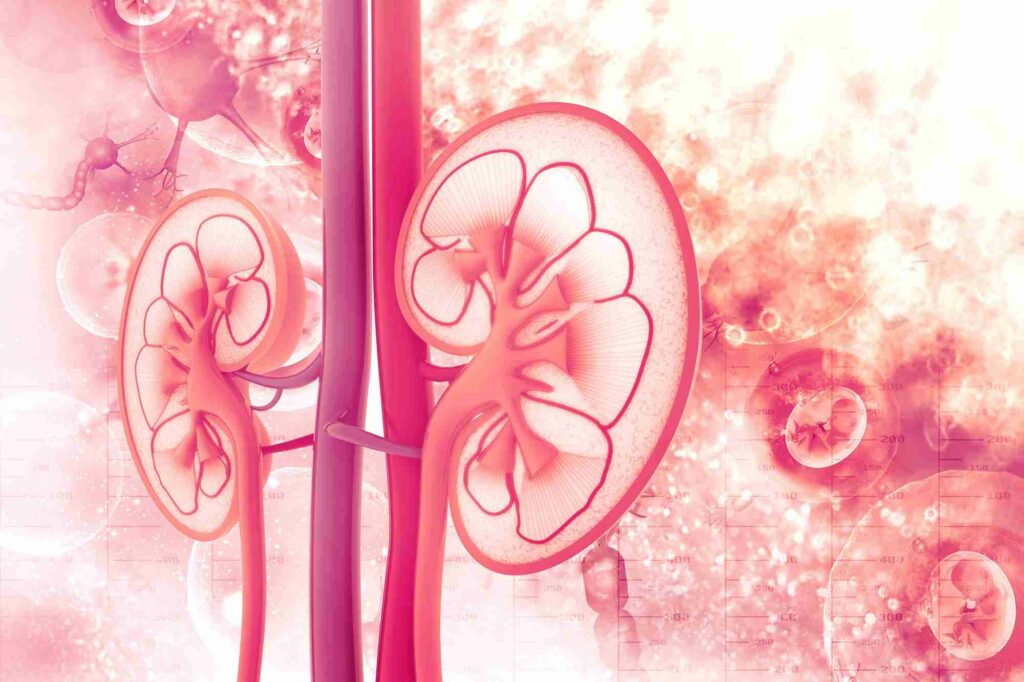 Understanding and Managing Microalbuminuria: A Comprehensive Guide